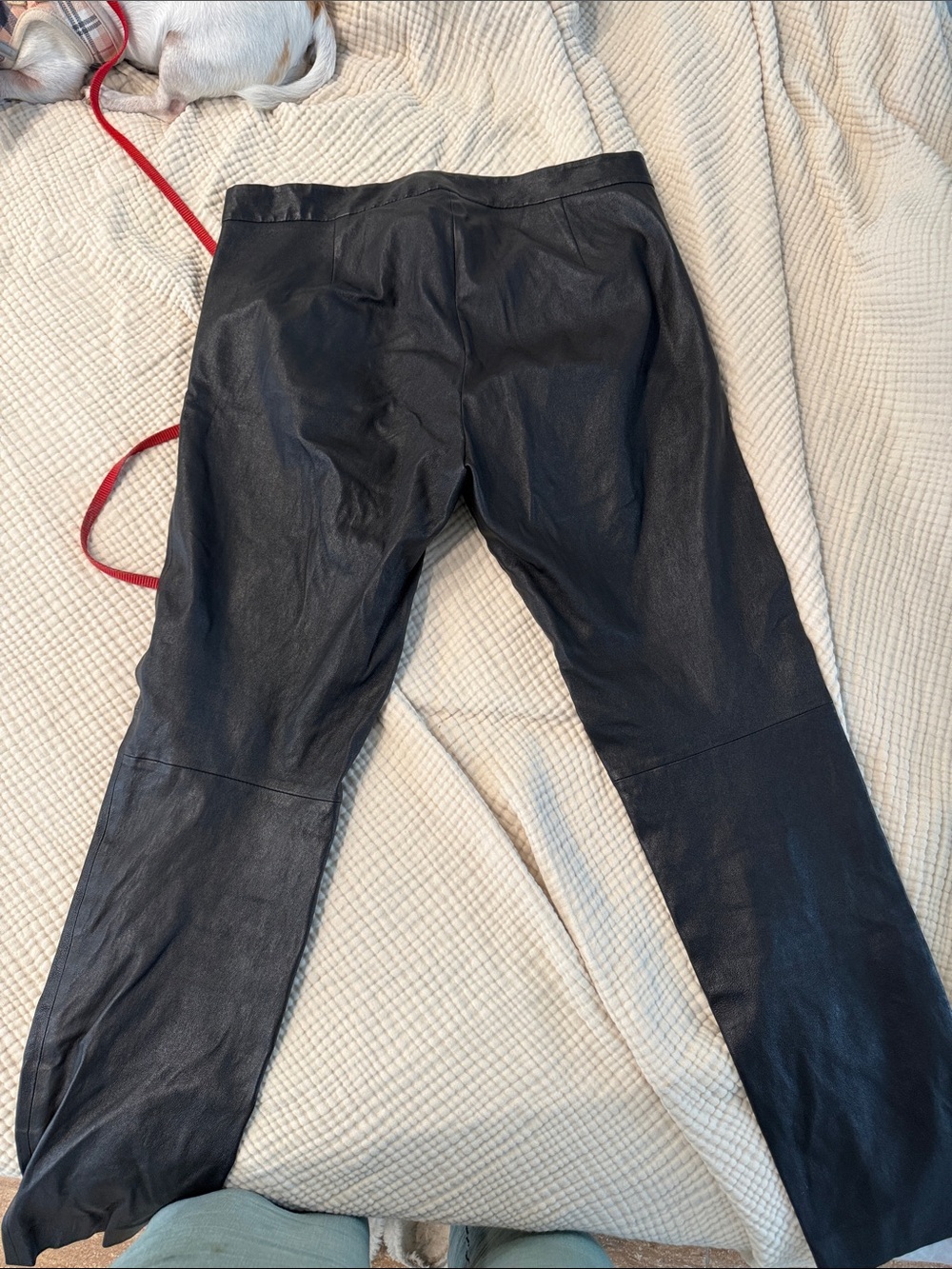 J. Crew Black Leather Pants